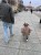 IMG_3967.jpeg