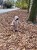 IMG_3956.jpeg