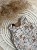 49436668-812D-4956-8205-ABAE6855E9AA.jpeg