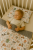 52BE5418-2139-400B-8508-7F0688C4E4B9.png