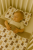 2754AC3E-E375-4AD7-A445-AF674A74DFF1.png