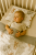 F2BB634B-2A9F-4E4C-8CF7-8BB44BE148EE.png
