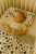 97FA71AF-7DE0-44DB-BD02-E1CAA4F1550A.png