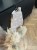 Photoroom_20250630_185304.jpeg