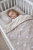 996C81A4-2294-4077-B3EF-89A84046EBF3.png