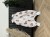 IMG_8925.jpeg