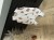 IMG_8928.jpeg