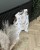 IMG_9240.jpeg