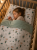 862C2B85-E699-4B7F-BF2E-108E4B978EA1.png