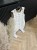 Photoroom_20250704_095523.jpeg