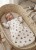 Photoroom_20260811_131228.jpeg