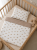350EB636-3906-4DB6-9ABA-5434DFE4056D.png