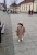IMG_3982.jpeg