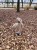 IMG_3959.jpeg