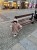IMG_3992.jpeg